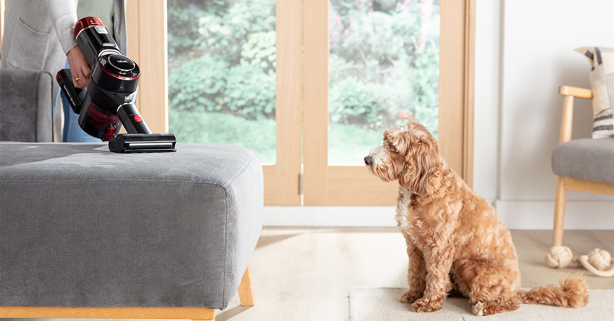 Keep Your Home Spotless with Ewbank’s Pet Floorcare Solutions