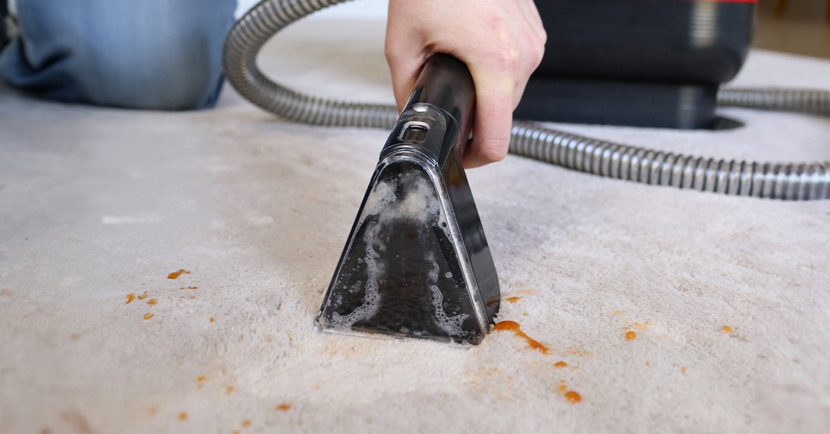 Ewbank Essentials for Quick Everyday Cleaning