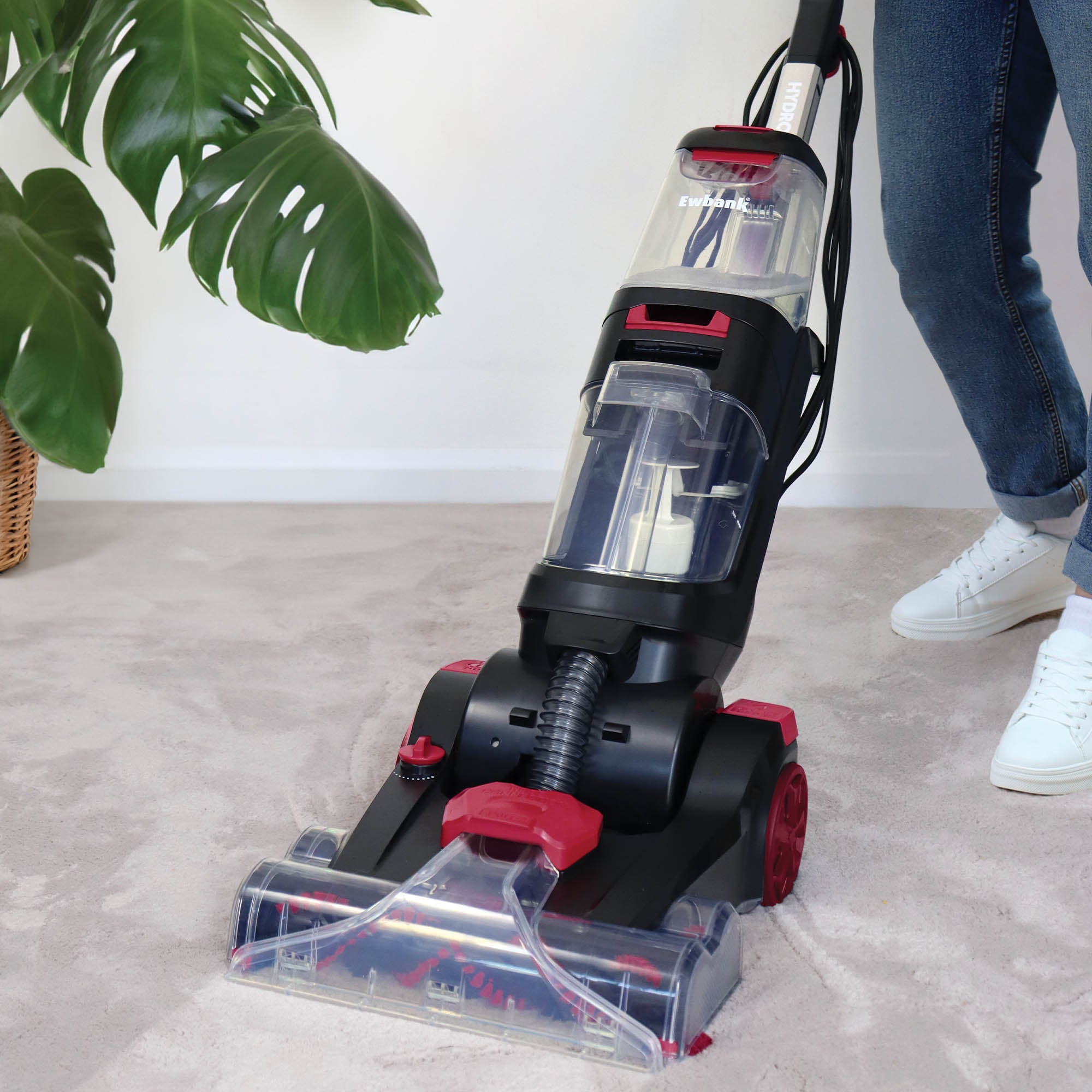 Wearing jeans and white shoes, a person uses the HYDROC2 Carpet & Upholstery Cleaner—black and red with powerful suction—on a light carpet beside a large green monstera plant.