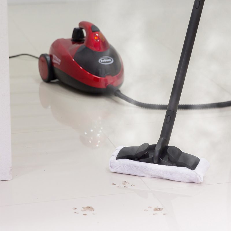 Steam Dynamo Multi Tool Steam Cleaner Steam Cleaners Ewbank