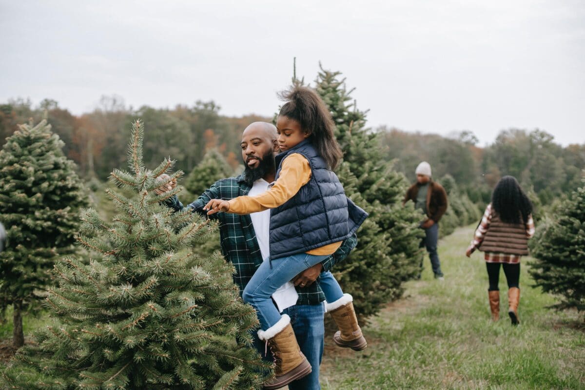 Find out tips on how to pick the right Christmas tree