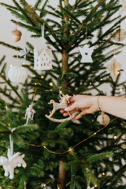 How to water your Christmas tree